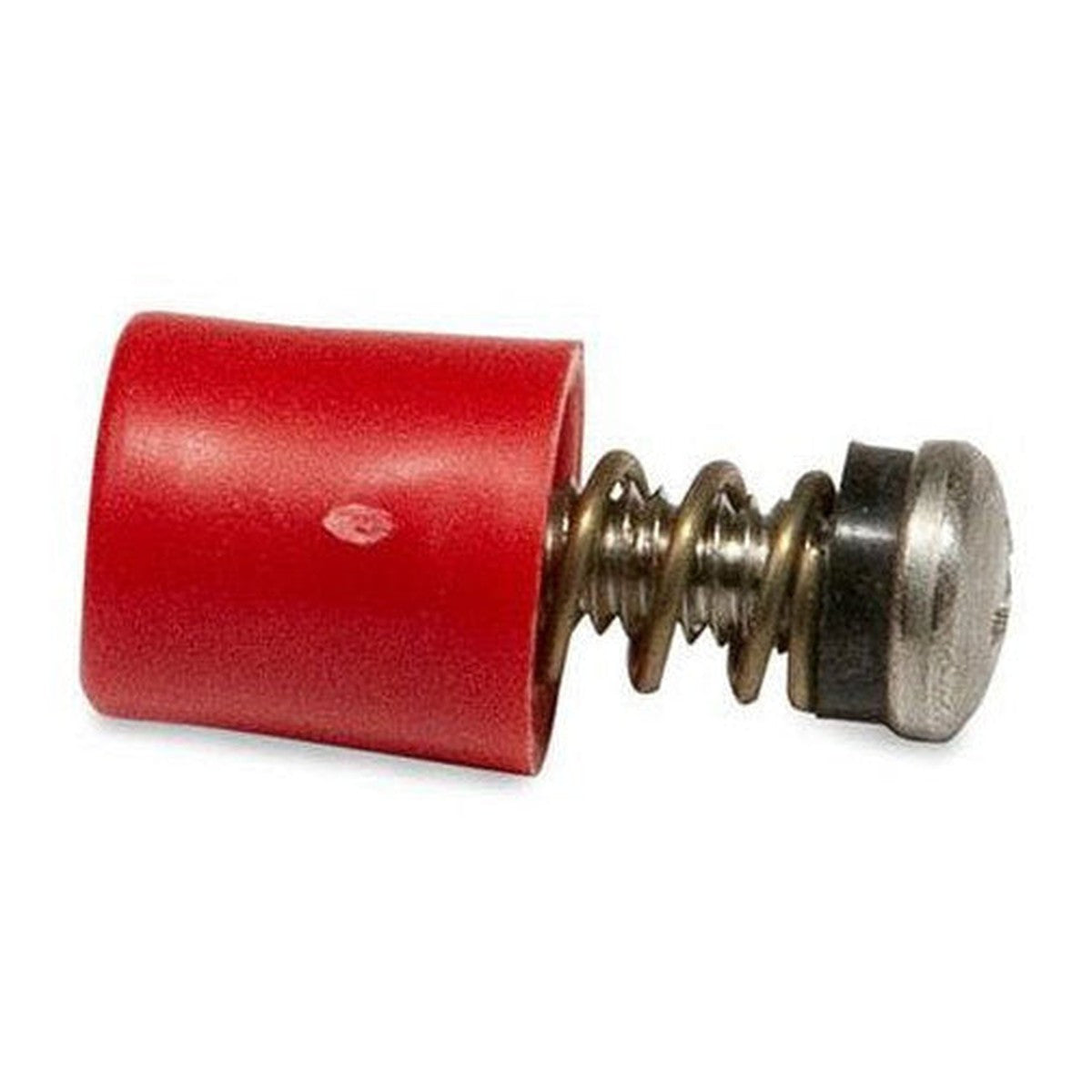 Pentek Pressure Relief Button Kit, 151039 (AM151039)