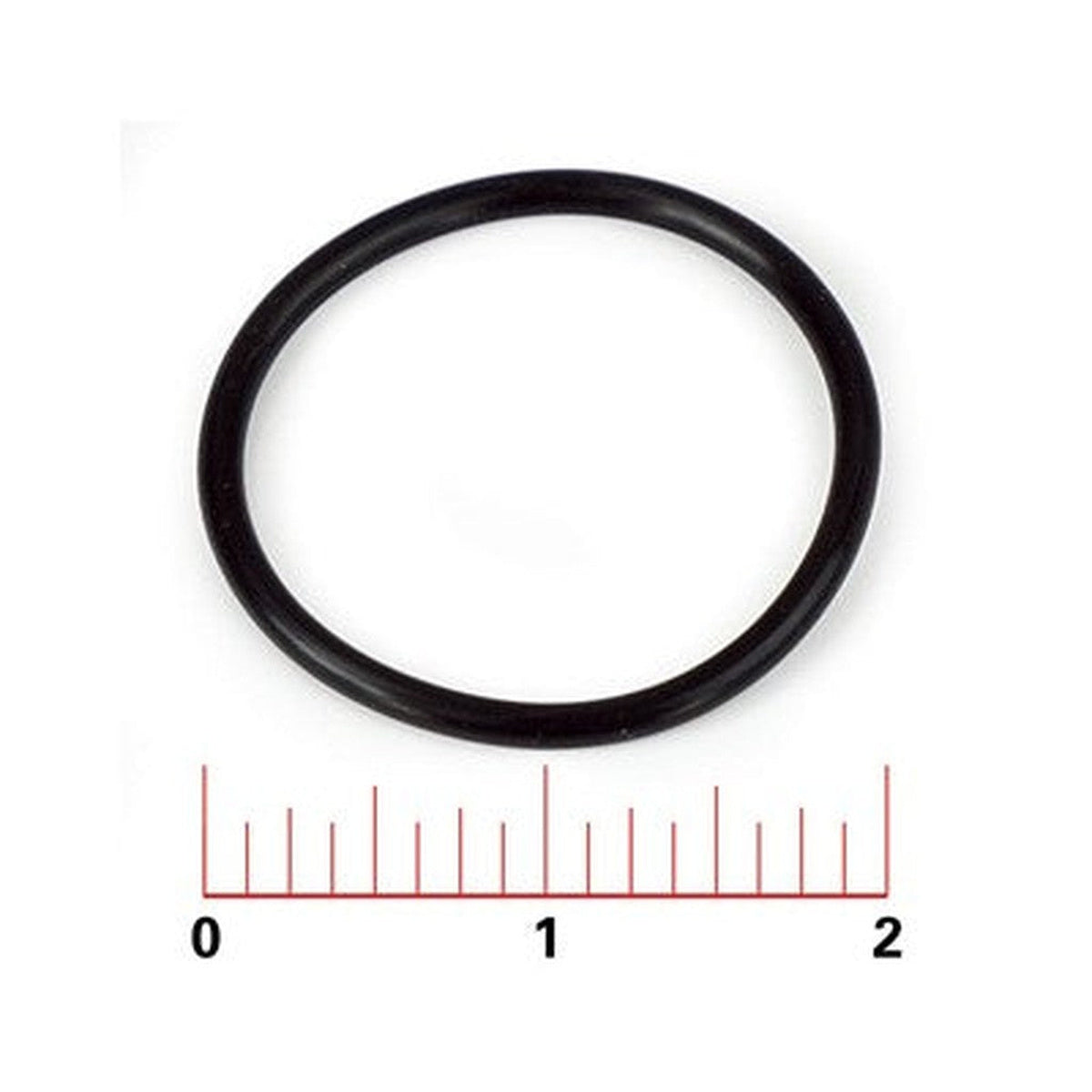 Fleck O-Ring (9500 Second-Tank Crossover)