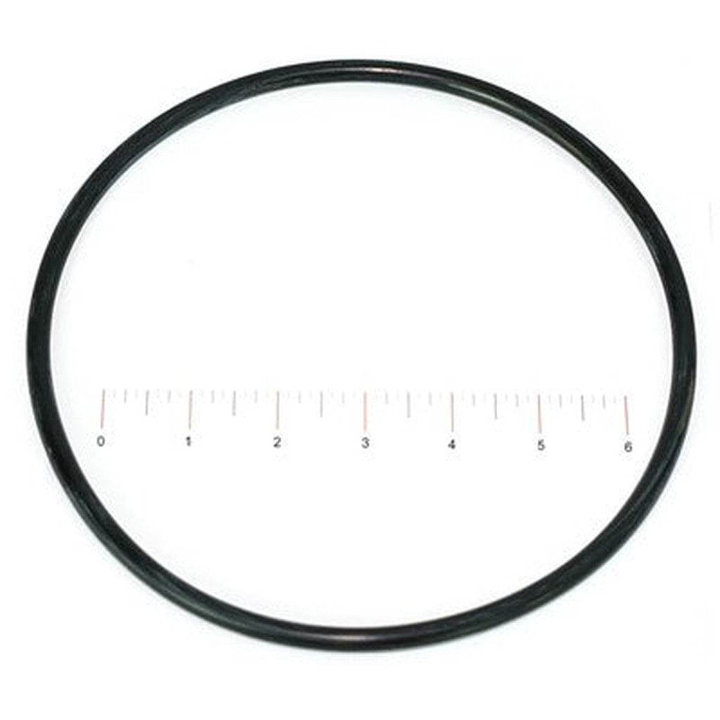 Fleck O-Ring -442 (3900)
