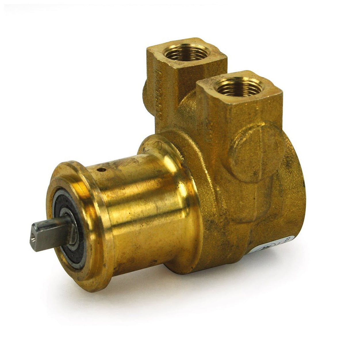 Reliable Rotary Vane Pump for Commercial RO Systems - Efficient 240 GPH Brass Pump