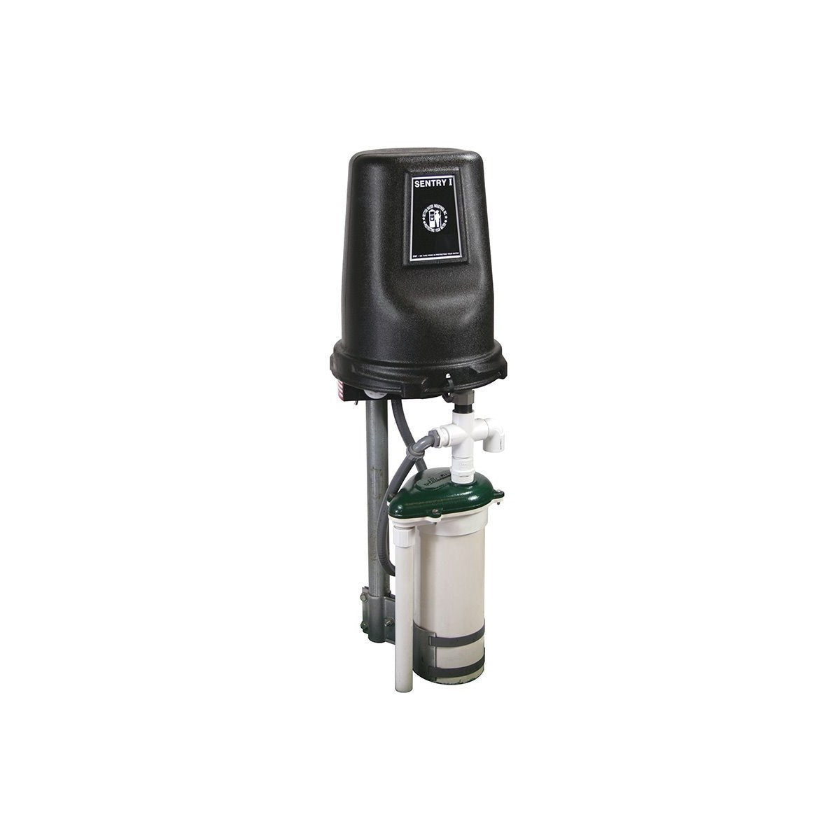 WSP Chemical Feed Pump