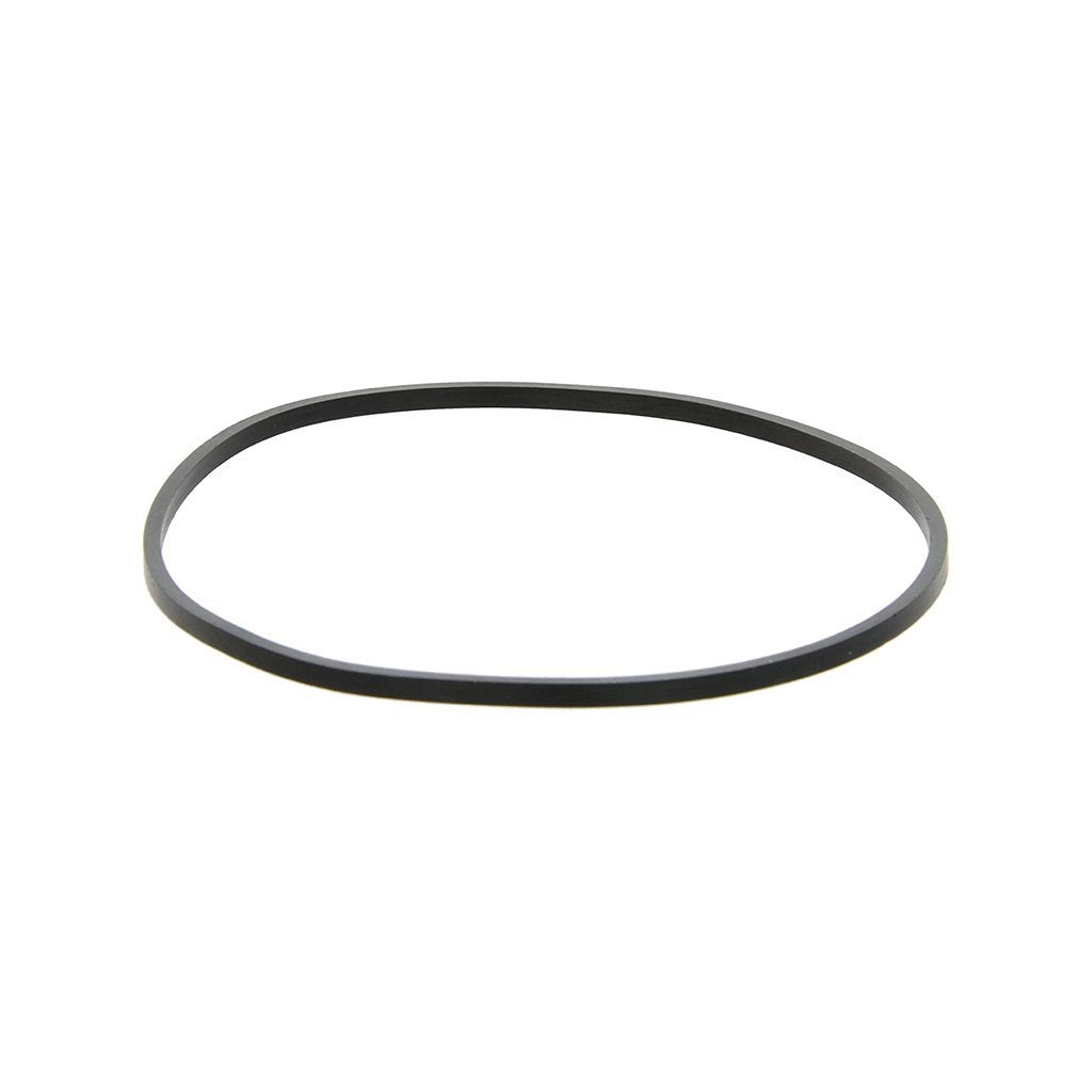 AM151254, Pentek O-Ring, Big Clear Square Cut, 151254