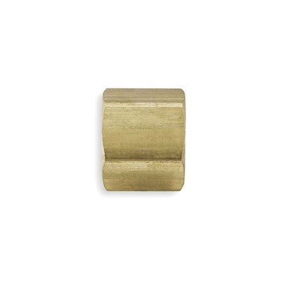 Brass Nut, 1/4