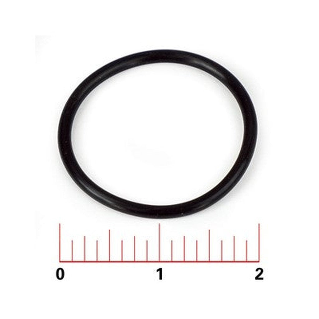 Fleck O-Ring (9500 Second-Tank Crossover)