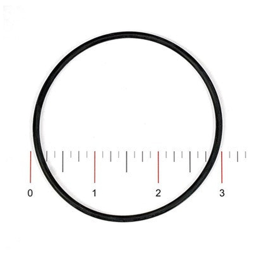 Fleck O-Ring, 3900 Adptr Coupling