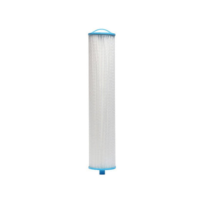 NFS-PL20/10-HF, Pleated Filter, 20/10 mic, 2.5", CT-2010