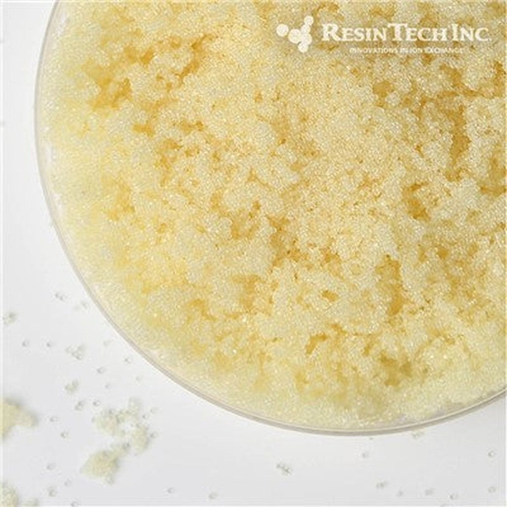 Strong Base Anion PFAS Resin