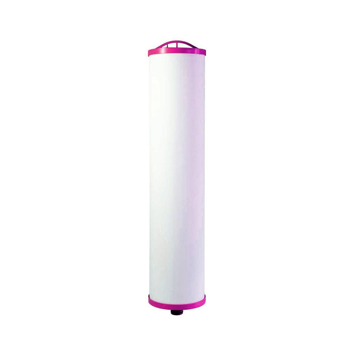 WSP PFAS Reduction System
