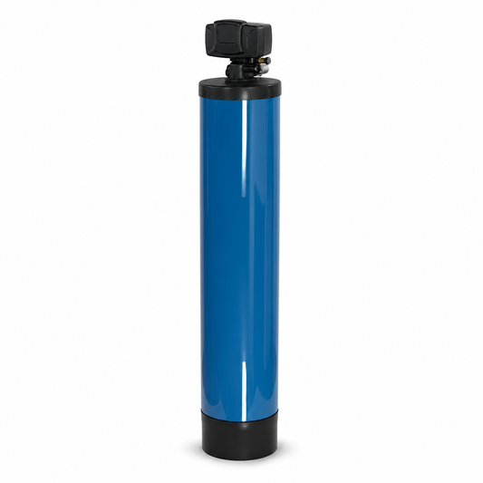 WSP Whole House Iron & Sulfur Filter - IS-2