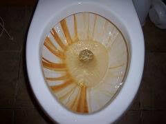 Eliminate Rust Iron Stains & Sulfur Rotten Egg Odor